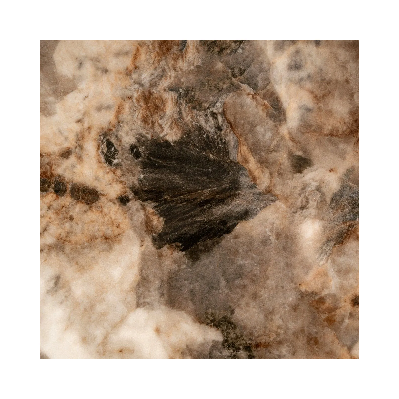 Vorschaubild 8